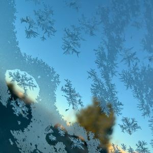 Meet your Posher, Audrey